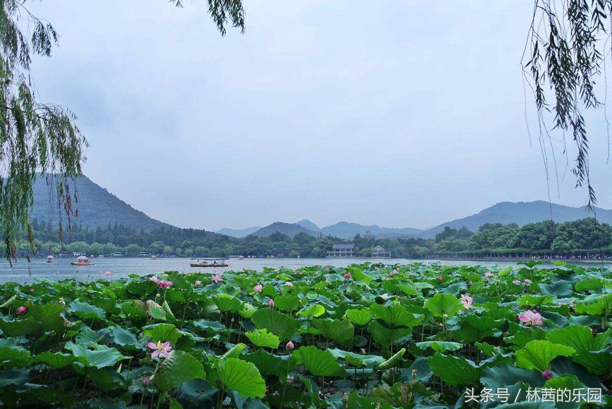 烟雨江南诗词名句（歌咏江南的10首绝美诗词）