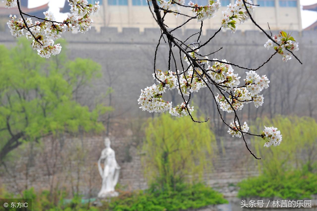 清明节诗词名句五言绝句（清明节的10首诗词）