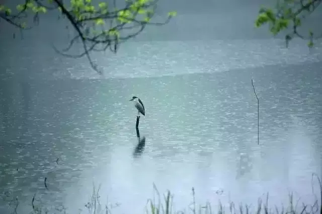 赞美夏雨的诗词名句（19首古诗词赏尽夏雨）