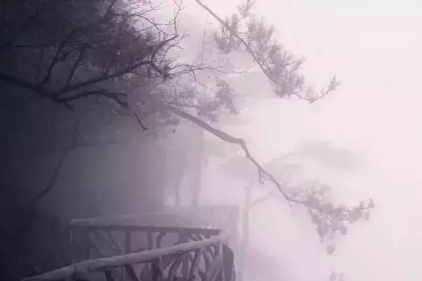 赞美夏雨的诗词名句（19首古诗词赏尽夏雨）