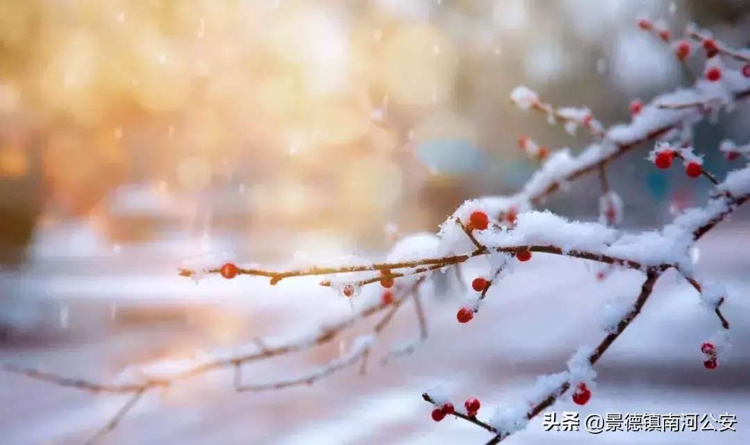 不如意的人生，才是最真实的（十首最深情的诗词）