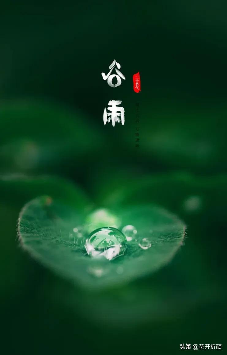 谷雨古诗名句解释（关于谷雨的古诗名句）