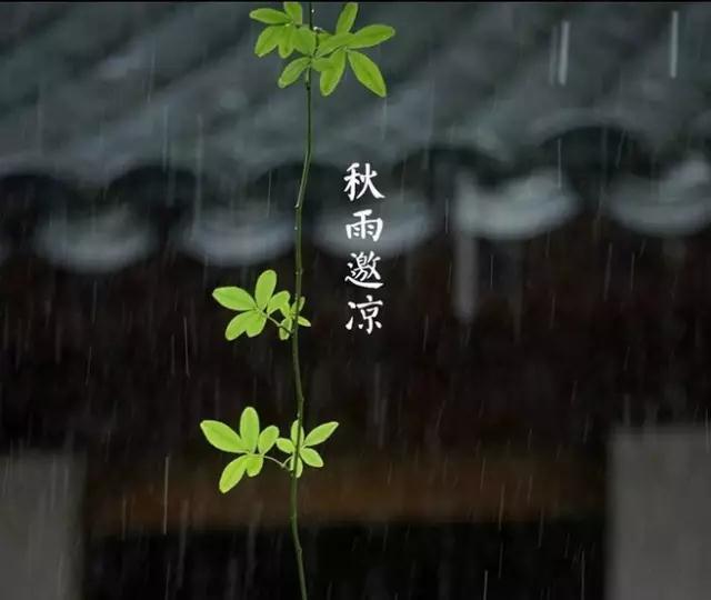 秋雨的古诗名句鉴赏（有关秋天的诗词名句）