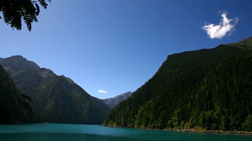 秋天的味道作文（《乡村的秋天》）