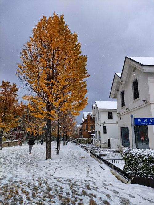 雪天意境很美的句子（浪漫雪天：极致唯美）