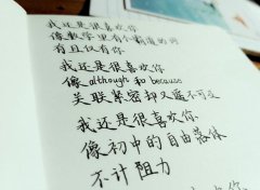 关于友情的唯美句子和优美文字（友情之花：唯美句子）