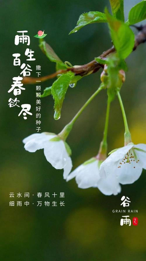 谷雨节气祝福语大全简短一句话（谷雨佳节祝福语85条）