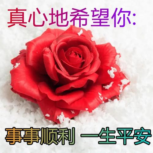 幼升小入学寄语怎么写（青春岁月，展翅翱翔——2023年幼儿升小学寄语）