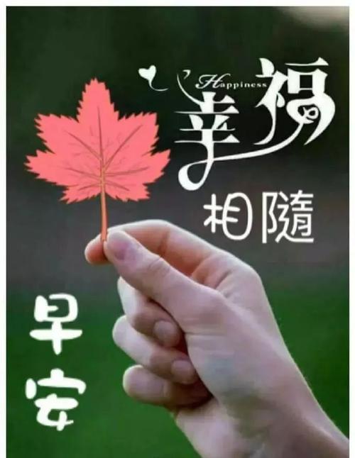 早晨问候暖心句子（25个最经典最暖心的早晨问候语）