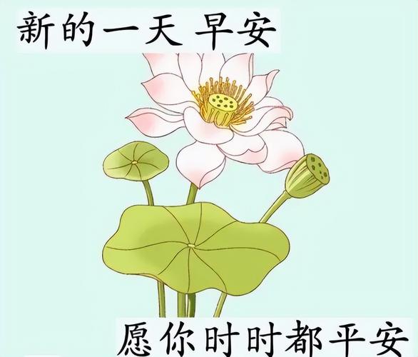 搞笑幽默风趣早安句子（晨曦如春——最搞笑幽默的早安句子）