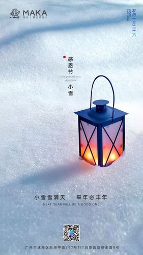 关于大雪节气的朋友圈文案（雪落静谧，梦中细语）