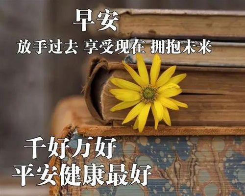 早晨早安的好句子说说心情（早安，甜蜜的问候）