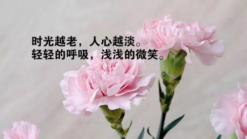 早安心语优美的语句 早安心语的短语（用一句话温暖你的一天）