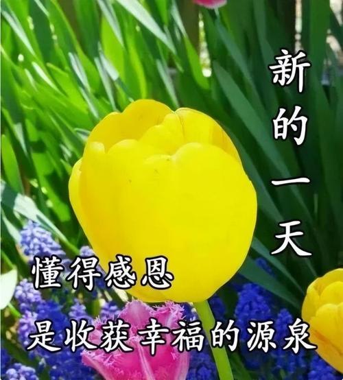 2021年早安最暖心短句（温暖的早晨，送你一份美好）