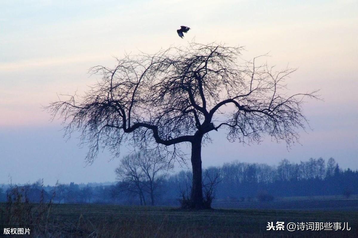 描写四季景物的古诗句（五十句经典景物的诗词）