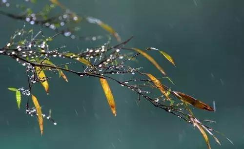 下雨古诗名句摘抄（描写下雨唯美经典诗词）