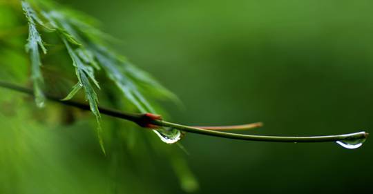 下雨古诗名句摘抄（描写下雨唯美经典诗词）