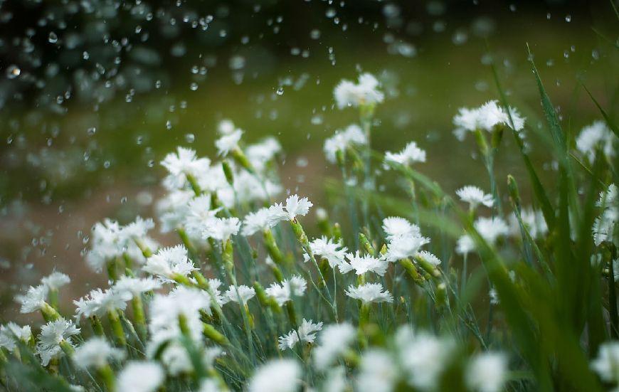 下雨古诗名句摘抄（描写下雨唯美经典诗词）