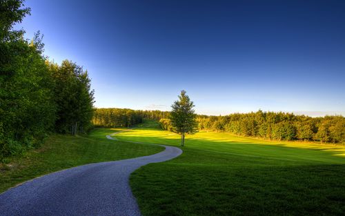 关于夏天的回忆作文（《夏天的风景》）