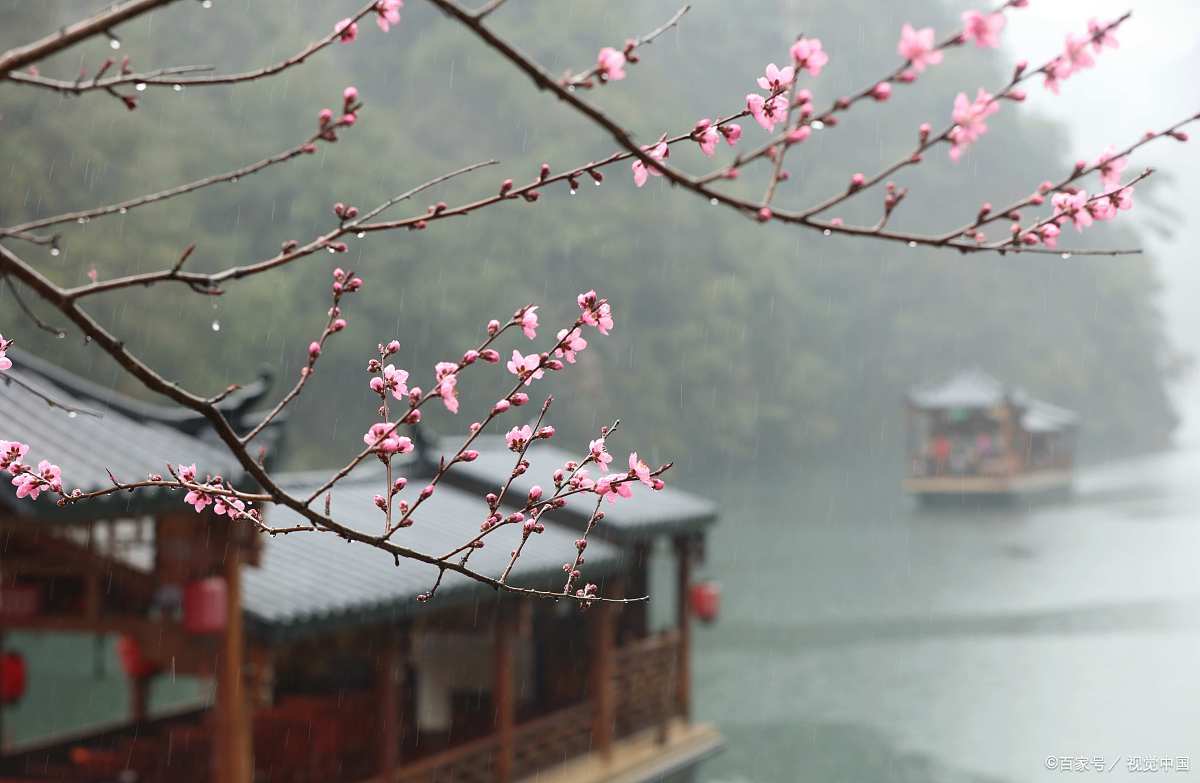 梅花诗词古句精选（王冕的10首梅花诗）