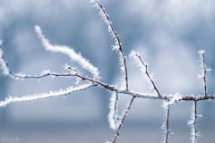 白雪纷飞，天地苍茫（五首描写雪景的古诗词）