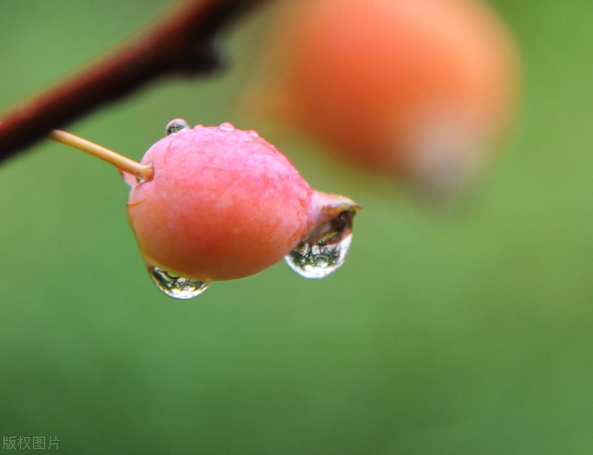 描写秋雨唯美的古诗词（一点寒意，漫上心头）