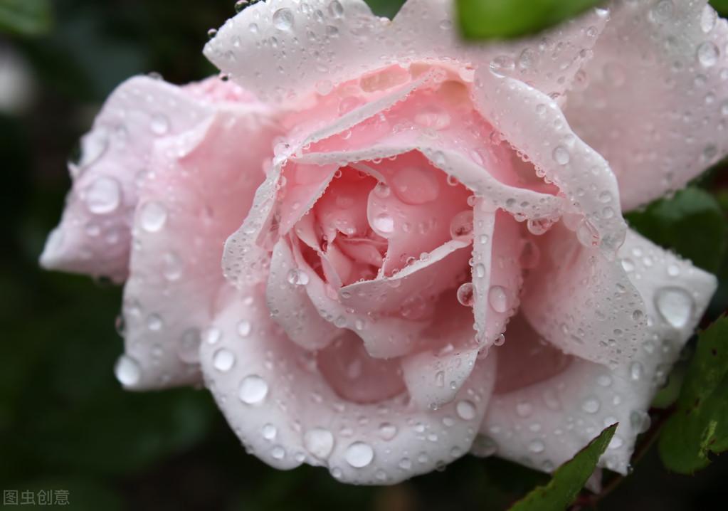 下雨天意境很美的诗句（5首下雨的古诗词）