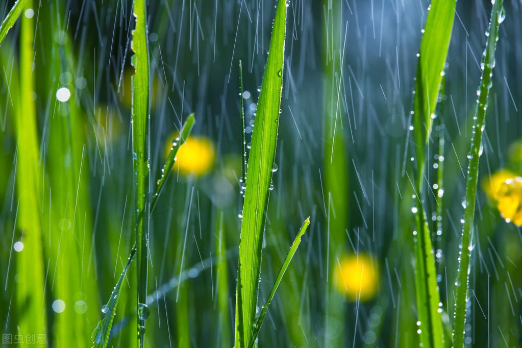 下雨天意境很美的诗句（5首下雨的古诗词）