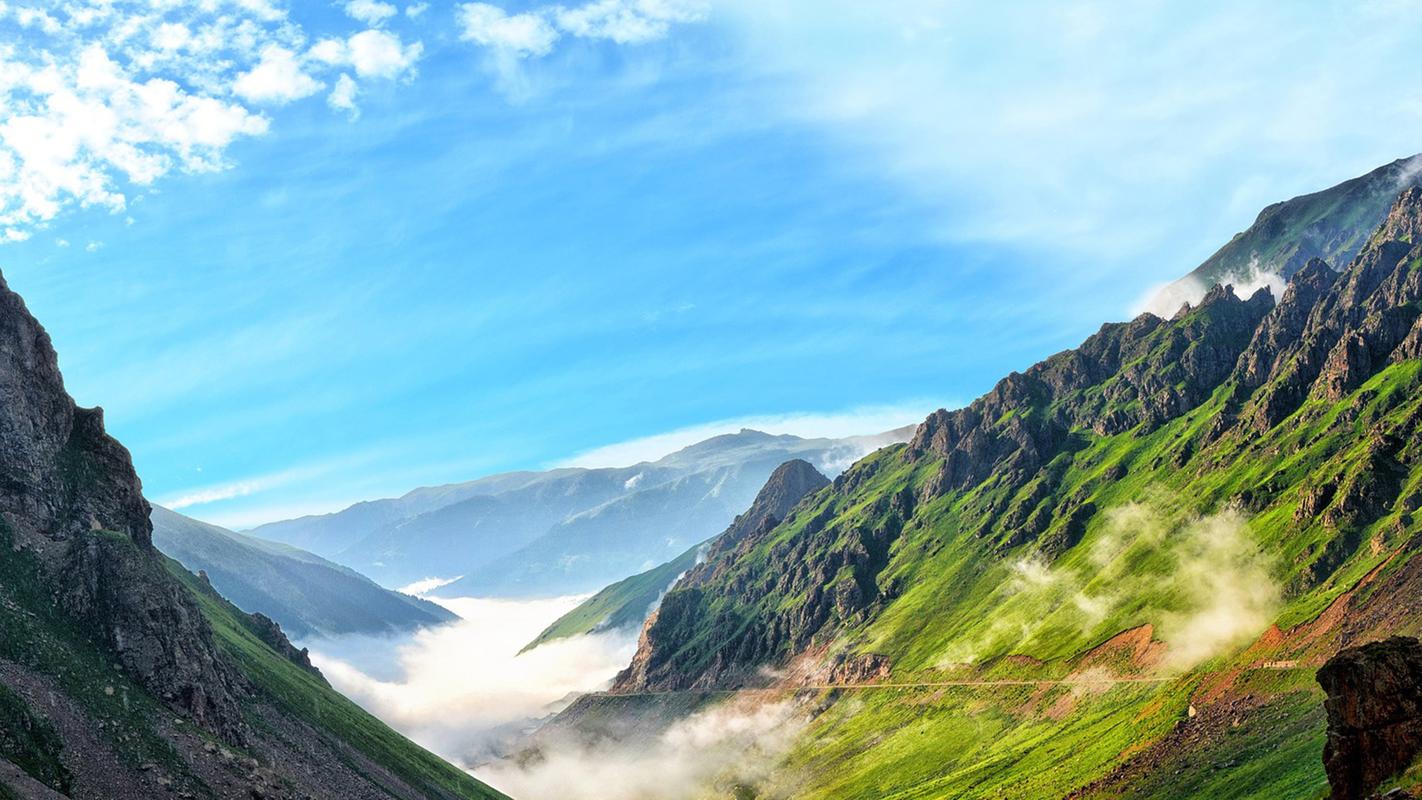 关于我爱夏天的作文（《夏天的风景》）