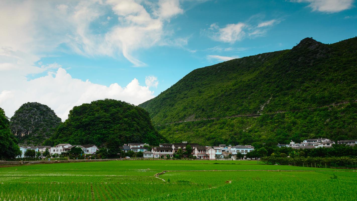 那些夏天的写景作文（《别样的夏天》）