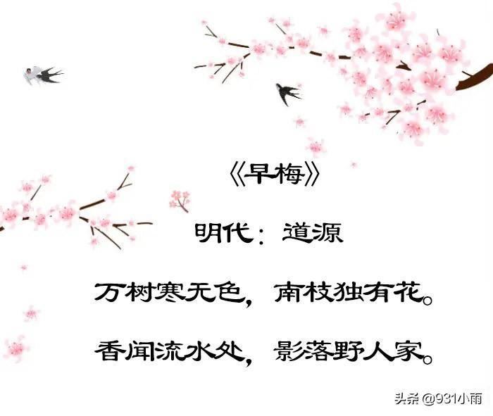 咏梅古诗词大全（六首著名的梅花诗鉴赏）