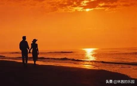 海边落日优美的诗句（唯美的8首夕阳诗词）