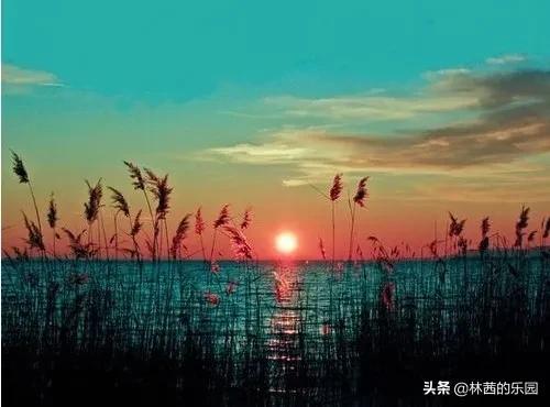 海边落日优美的诗句（唯美的8首夕阳诗词）