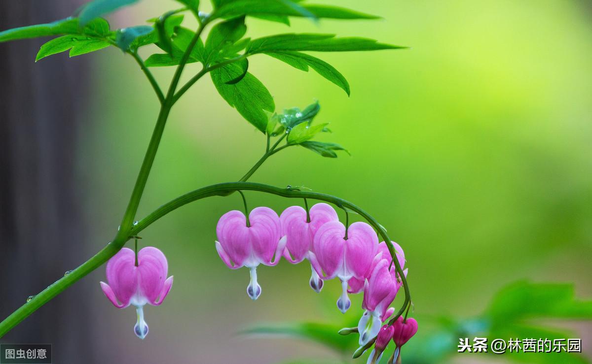 关于雨水的优美古诗（20首谷雨诗词）