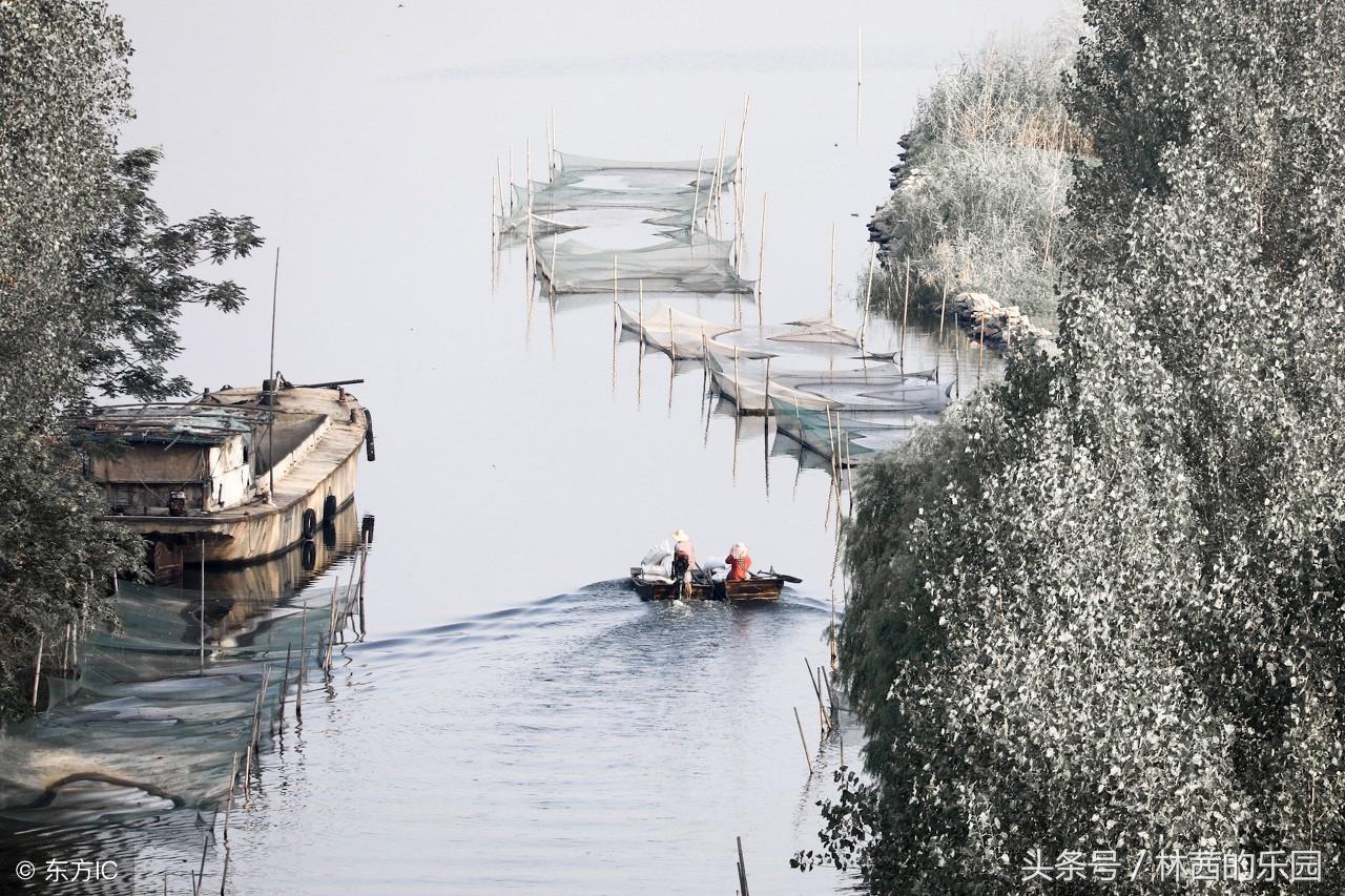 歌咏山水的16首经典诗词（赞美山间小溪流水的古诗）