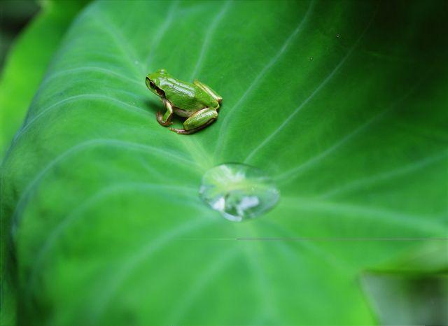 江南烟雨的唯美诗词（4首江南古诗词）