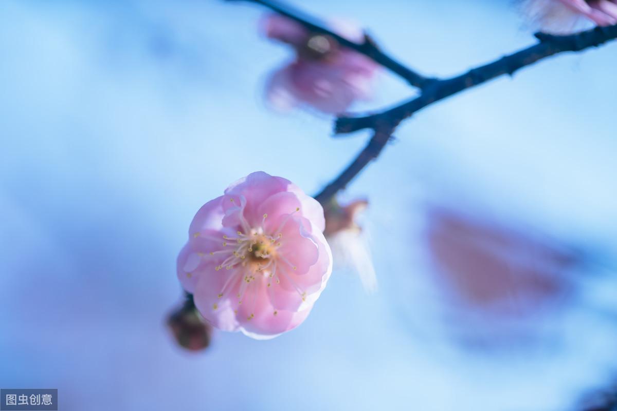 赞美四季唯美的诗词（12首古诗词里的四季）