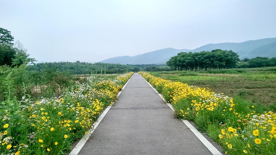 关于拥抱春天的作文（《春天的风景》）