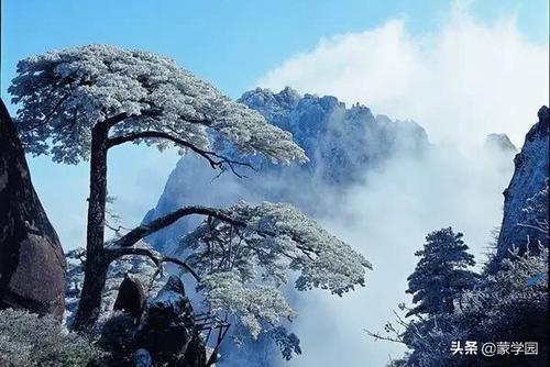 雪景诗词古句摘抄（描写雪景的18首优美古诗词）