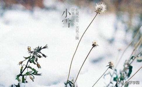 关于小雪节气的古诗词赏析（小雪节气优美诗句）