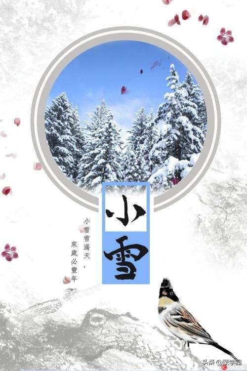 关于小雪节气的古诗词赏析（小雪节气优美诗句）