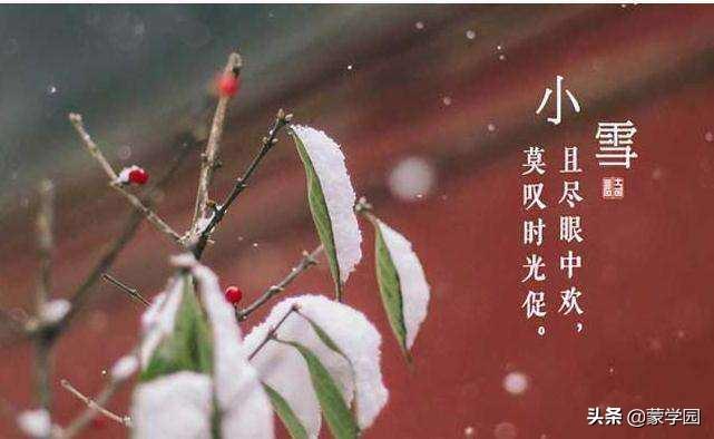 关于小雪节气的古诗词赏析（小雪节气优美诗句）