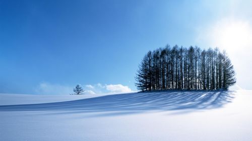 描写故乡的冬天作文（《冬天的风景》）