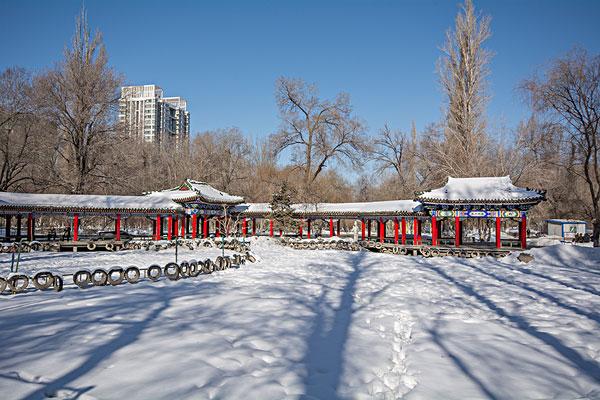 关于冬天的雪花作文（《冬天的故事》）