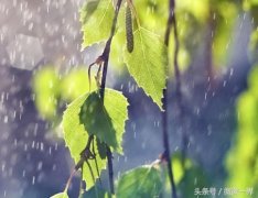 江南烟雨的唯美诗词（雨中唯美意境诗句）