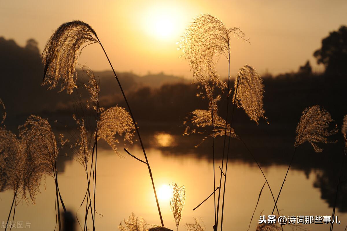 形容蓝天白云很美的唯美诗词（白云意境的唯美诗句）