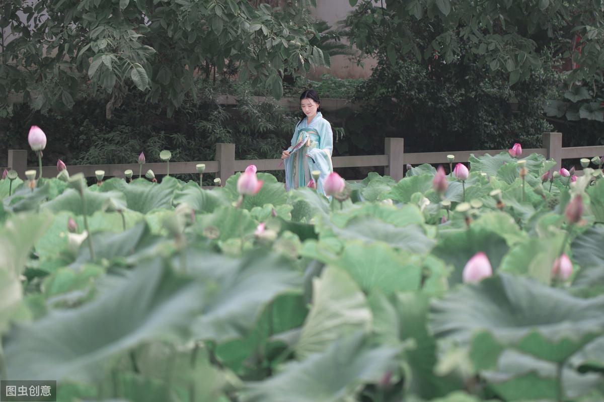 赞美荷花唯美古诗词（夏荷的经典优美诗句）