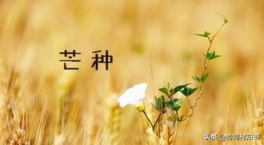 时雨及芒种，家家麦饭美（芒种节气古诗词9首）