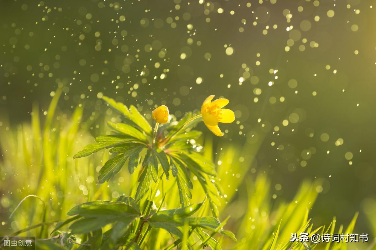 节气优美古诗词大全（经典节气古诗赏析）