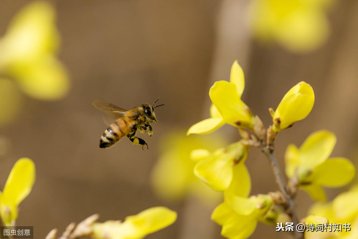 四月优美诗词摘抄大全（四月古诗词12首）